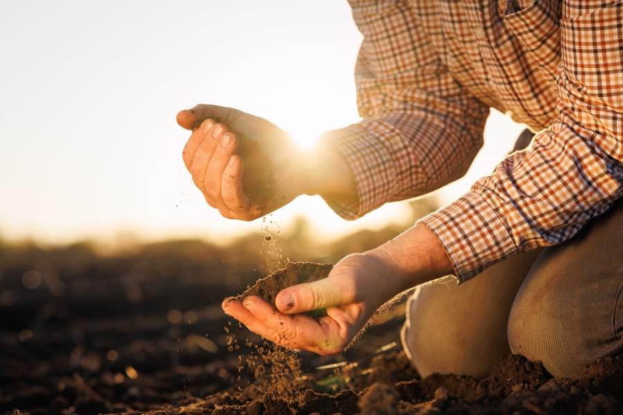 Agriculture : une journée pour rappeler l’importance de la santé physique et mentale des producteurs
